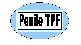 Penile TPF